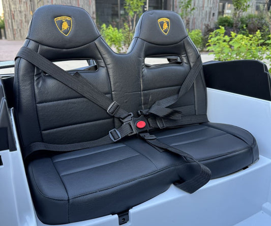 Licensed Lamborghini SVJ 24V Two Seater Kids Ride on Car With Remote Metallic Red