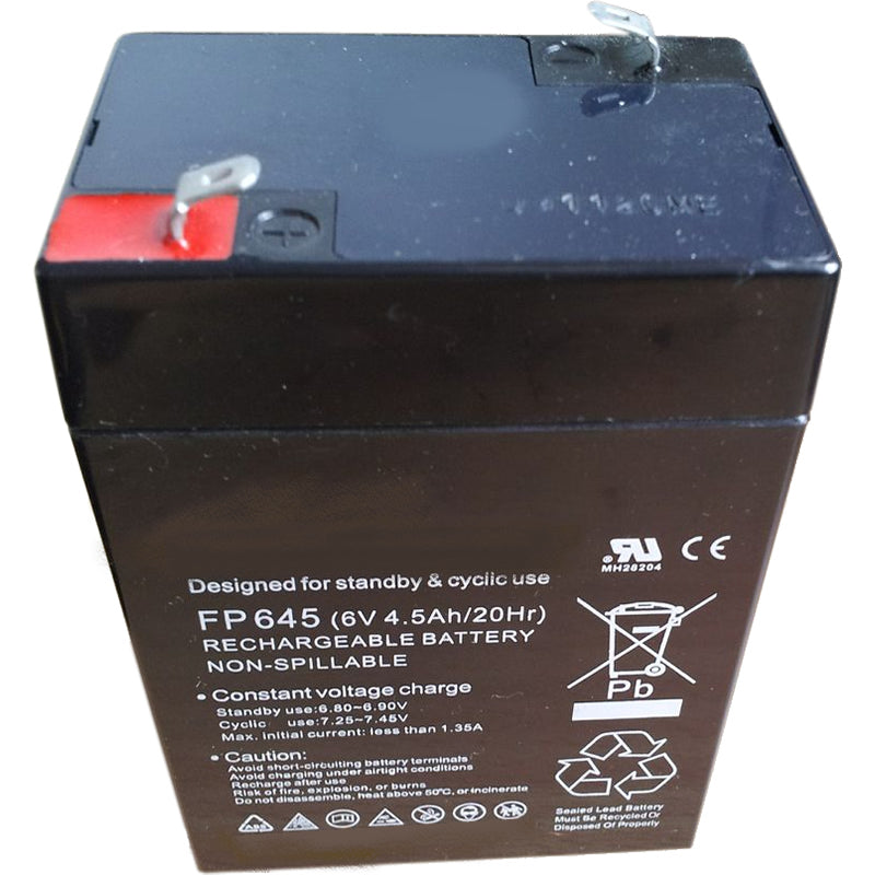 6V Rechargeable Battery for Ride on Kids Electric Cars Jeeps Quad Bikes 6v-4.5ah